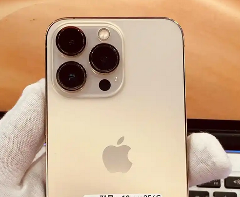张家界苹果13维修中心分享如何在iPhone13上设置动态壁纸 张家界苹果13维修中心分享如何在iPhone13上设置动态壁纸